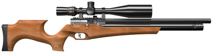 PCP RIFLE